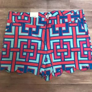 ⚡️SALE⚡️Crown & Ivy shorts