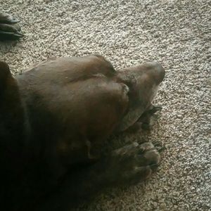 Meet your Posher, Lori