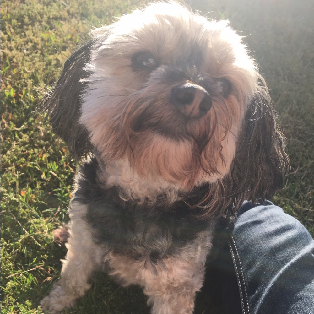 Meet your Posher, Ashlyn