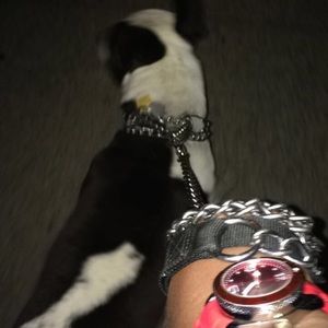 Meet your Posher, Demetrius