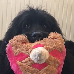 Meet your Posher, Jane