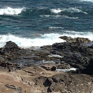 Meet your Posher, Joanne