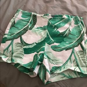 Palm tree printed shorts