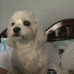 Meet your Posher, Breezy