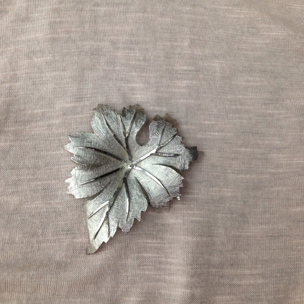 🏳️‍🌈Fall Leaf Brooch🍁 vintage