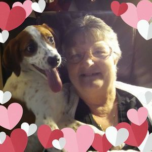 Meet your Posher, Teana