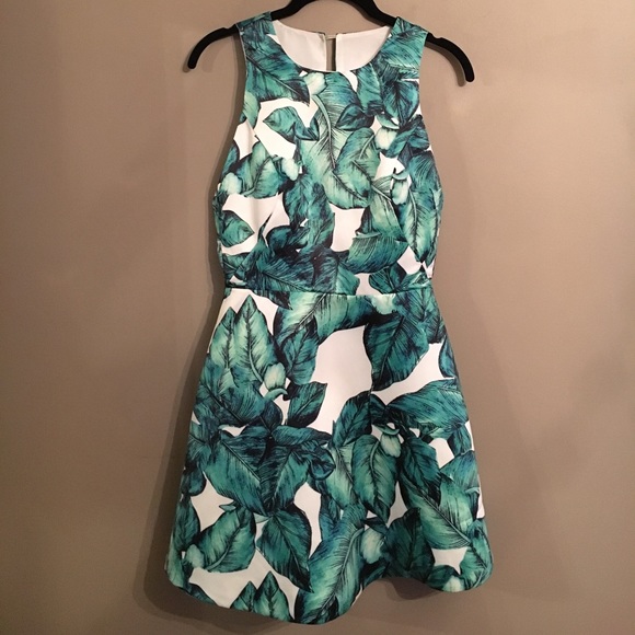 Eleanor Dresses & Skirts - Eleanor Palm Tress Dress