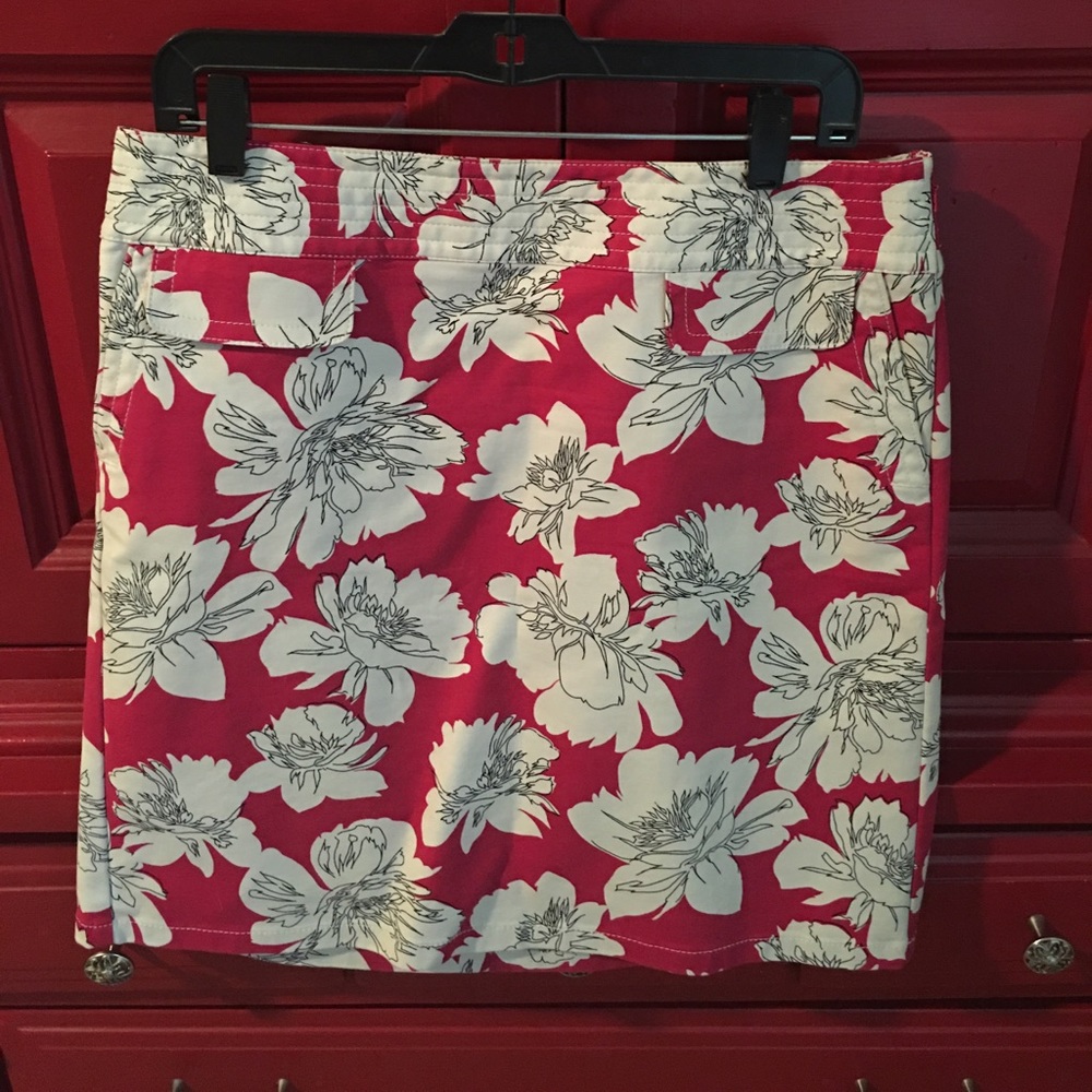Ann Taylor skirt