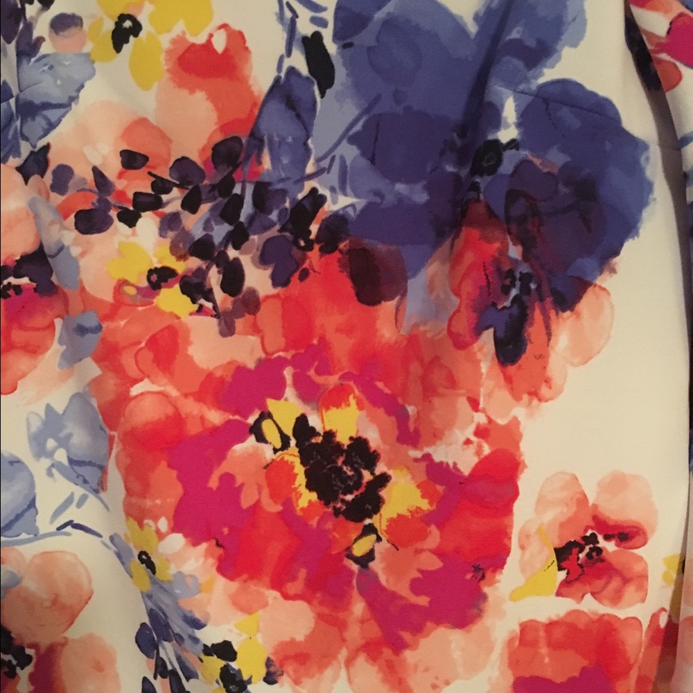 Tahari Bell Sleeve Dress!