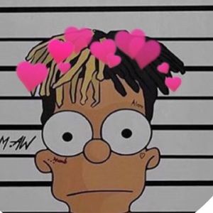 Meet your Posher, Remy