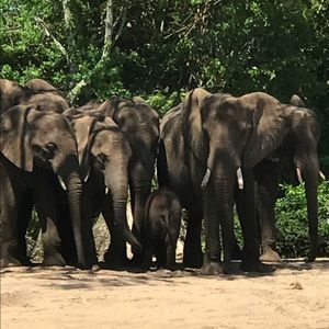 Meet your Posher, Donna