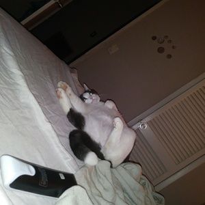 Meet your Posher, Terrel