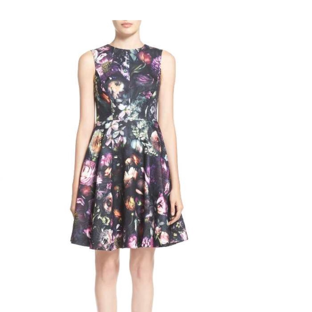 Ted Baker Floral Print Fit & Flare Dress