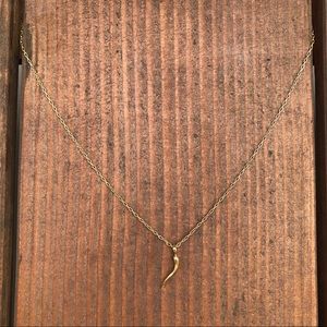 Gold Italian horn necklace