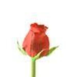 Meet your Posher, Jan