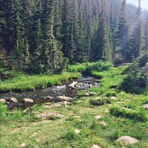 Meet your Posher, Tania