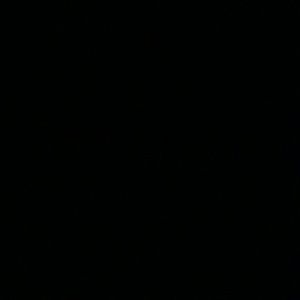 Meet your Posher, Nia