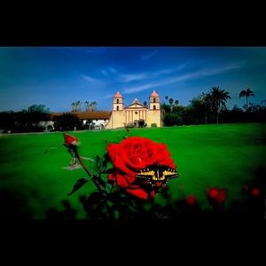 Meet your Posher, Colleen