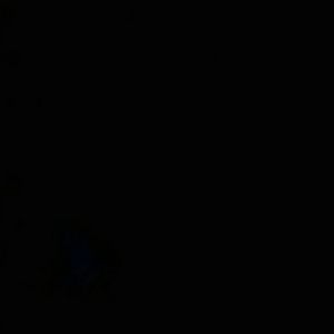 Meet your Posher, Dion