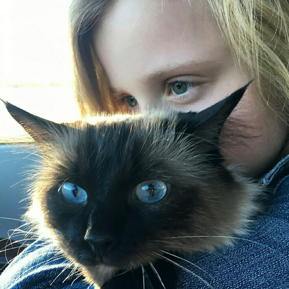 Meet your Posher, Libby