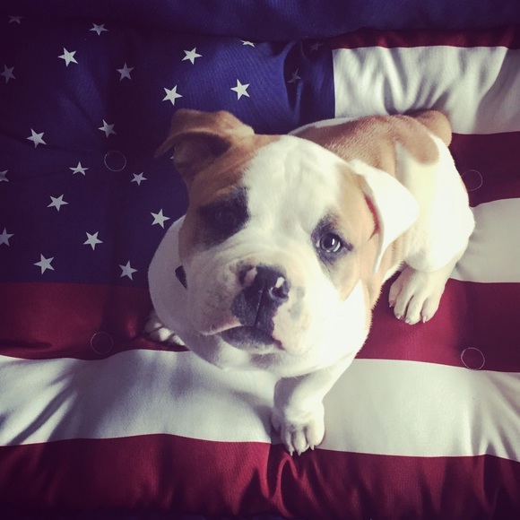 Meet your Posher, Beth - Picture 1 of 1