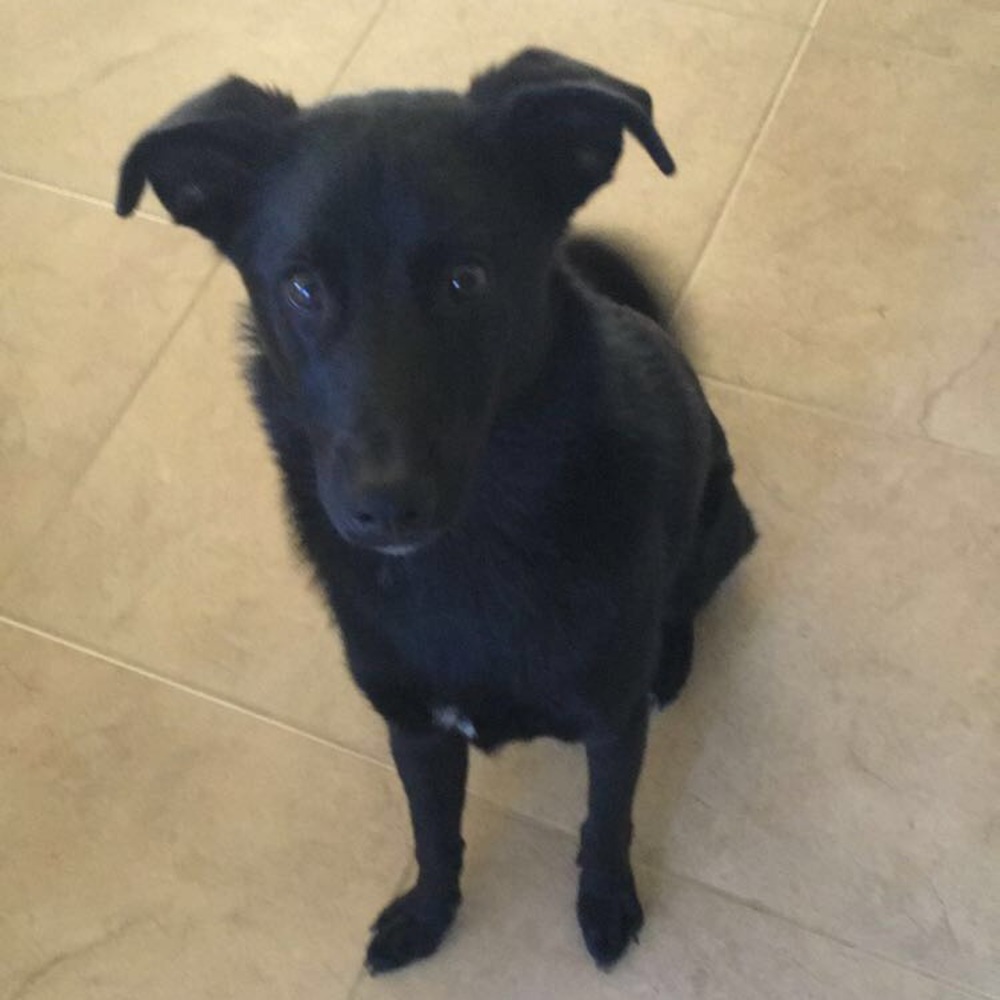 Meet your Posher, Chloe