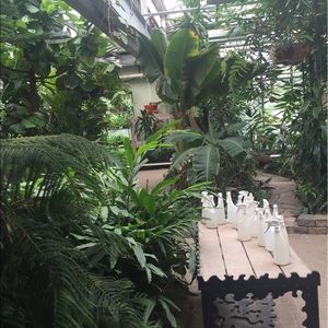 Meet your Posher, Suela