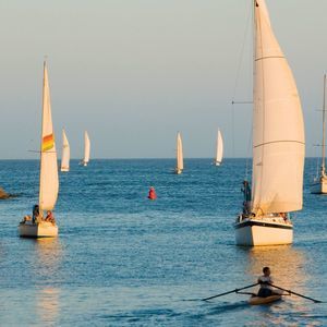 Meet your Posher, Curtis