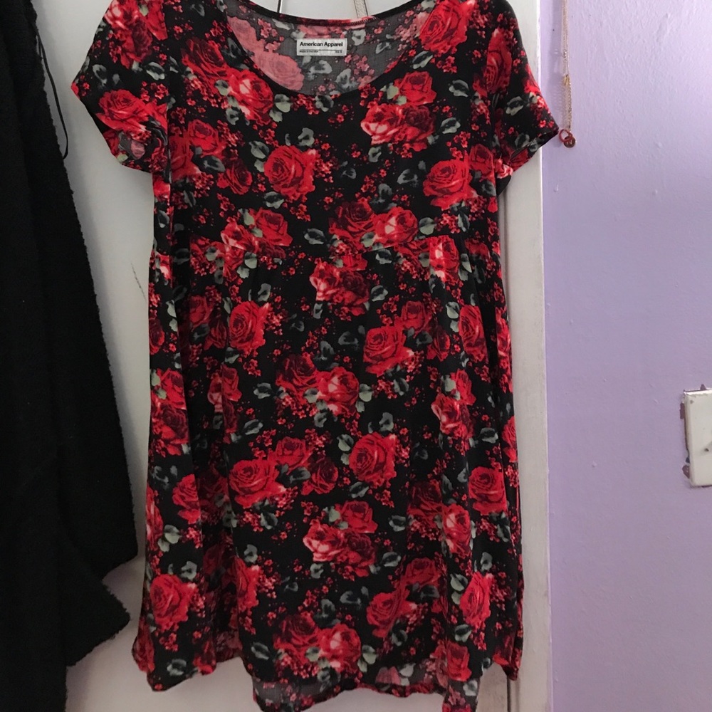 American Apparel Rose Dress