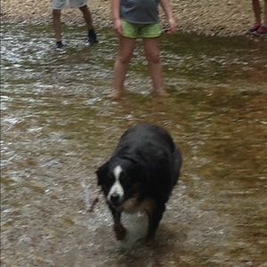 Meet your Posher, Leslee