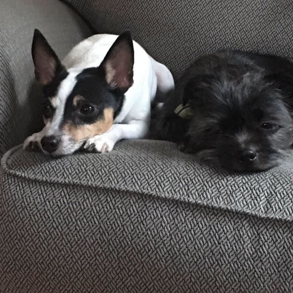 Meet your Posher, Joelle