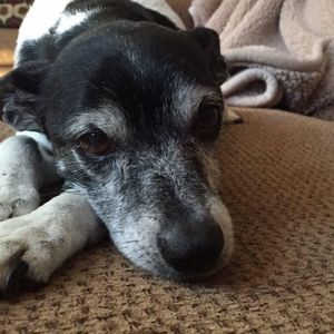 Meet your Posher, Teresa