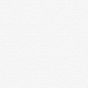 Meet your Posher, Tae