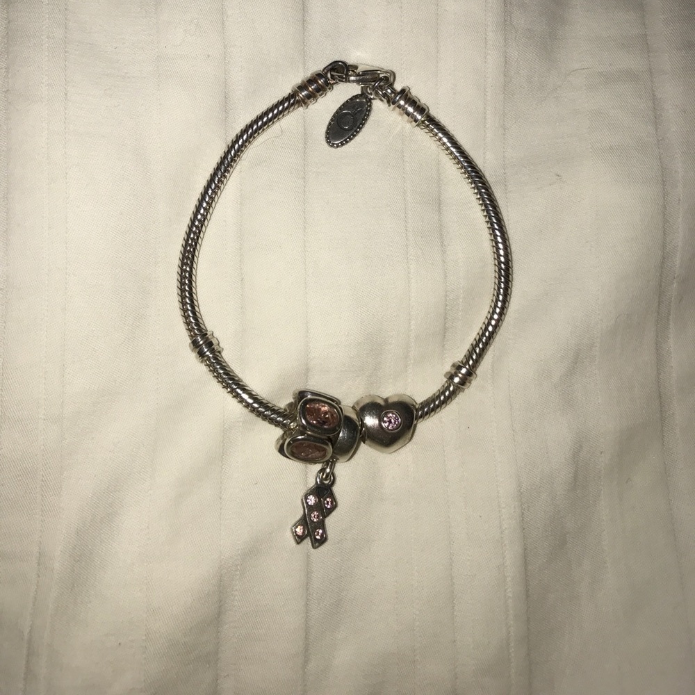 Pandora Charm Bracelet