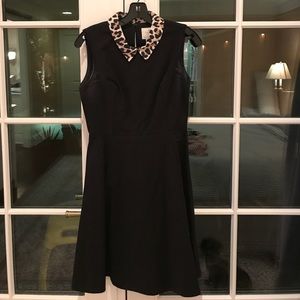 Cuuuuute Kate Spade leopard collar dress!
