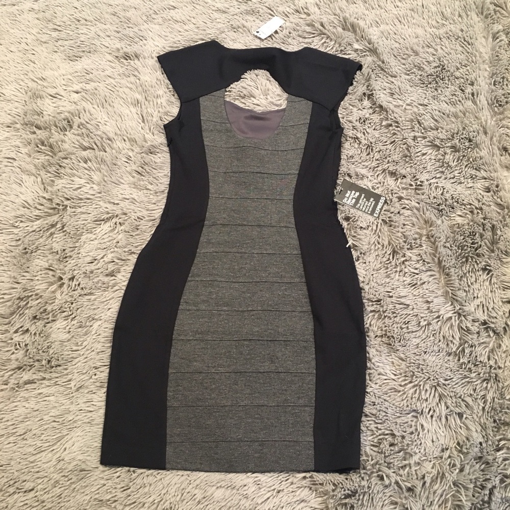 Express Fitted Dress - Picture 2 of 4