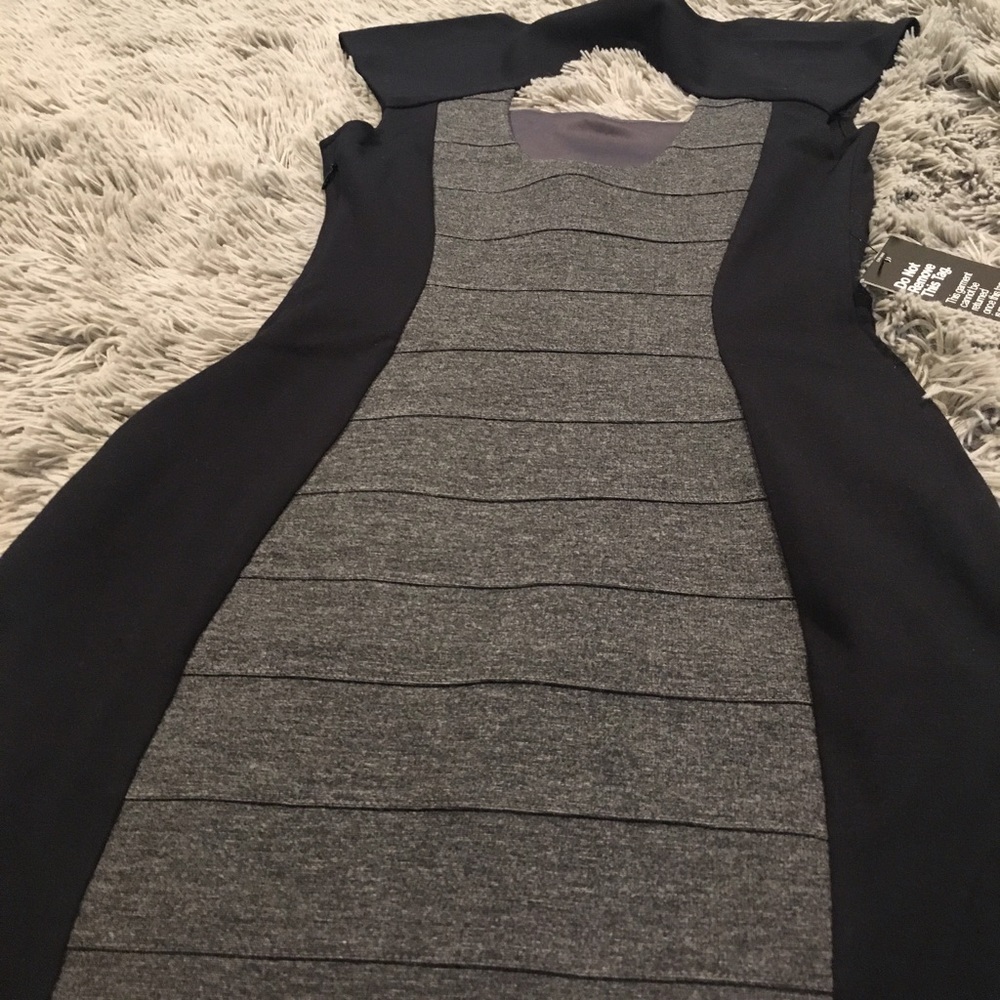 Express Fitted Dress - Picture 3 of 4