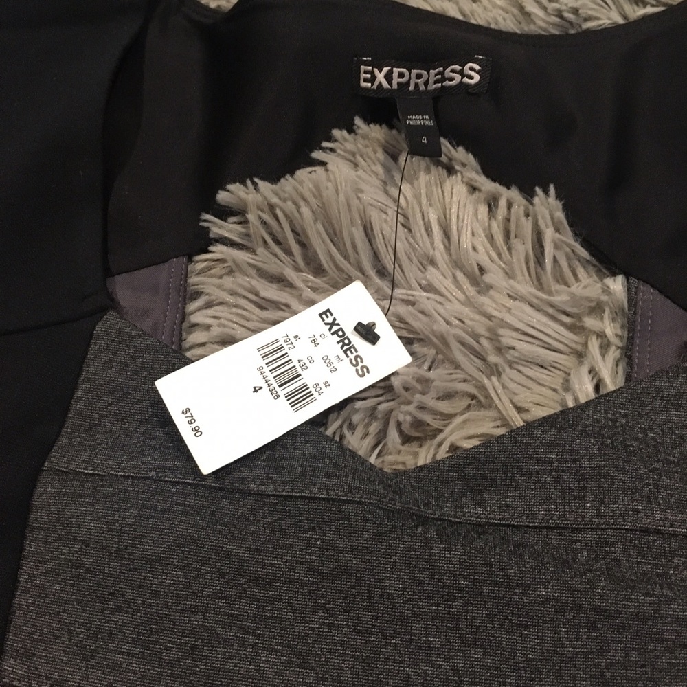 Express Fitted Dress - Picture 4 of 4