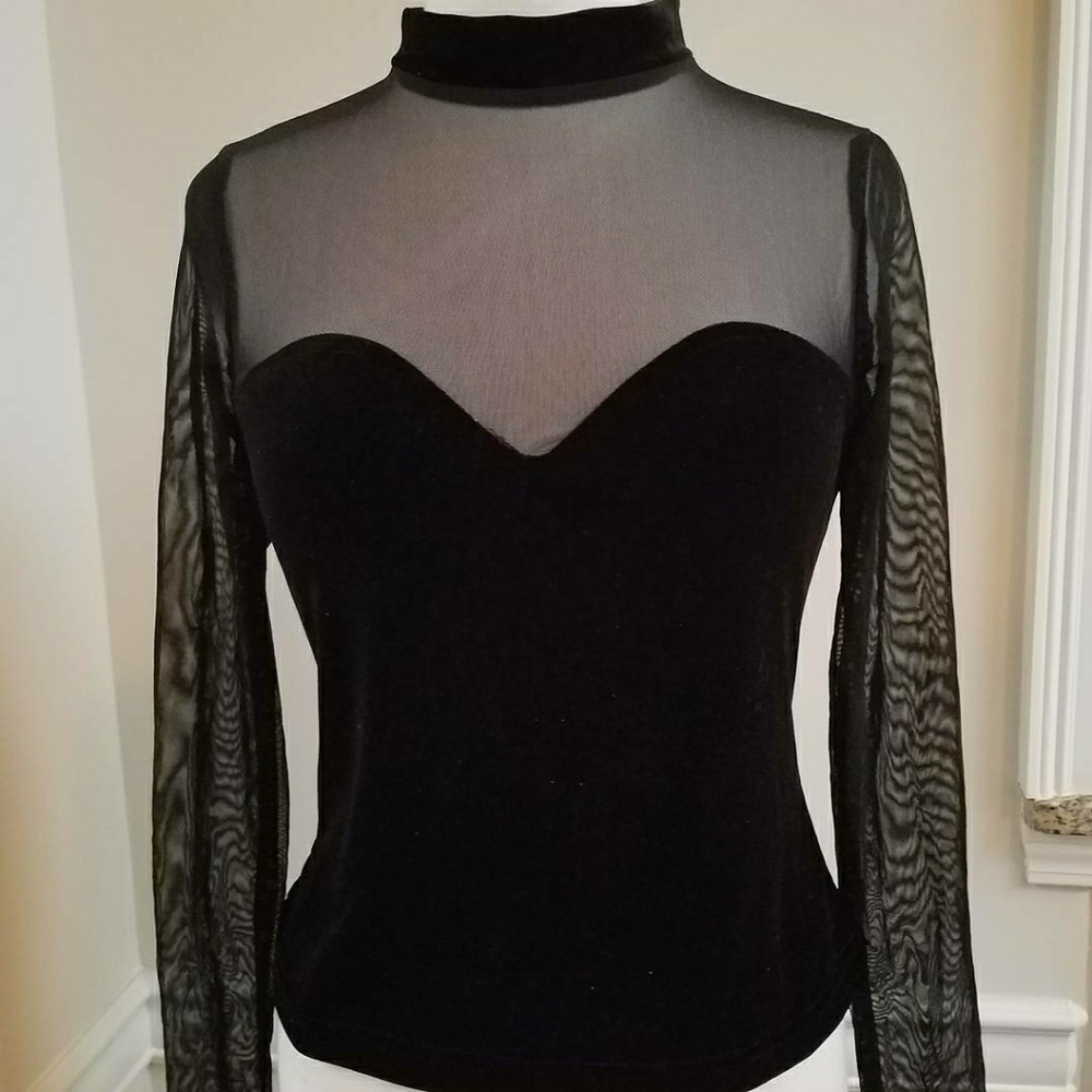 Mesh/sheer velvet top