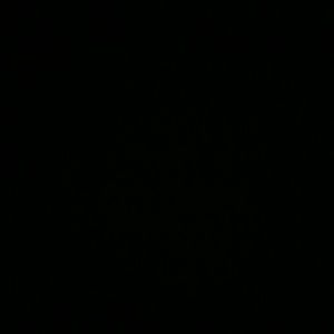 Meet your Posher, Marquita