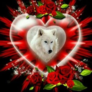 Meet your Posher, Diann