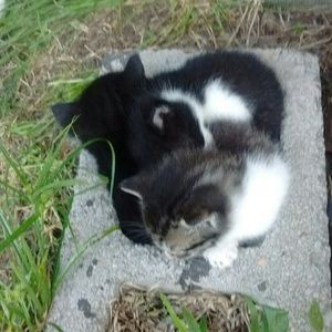 Meet your Posher, Lori