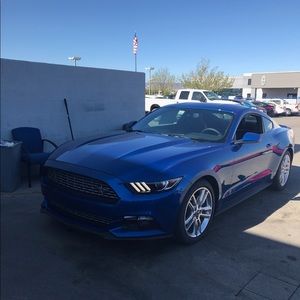 Meet your Posher, Chandler