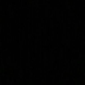 Meet your Posher, Daunte