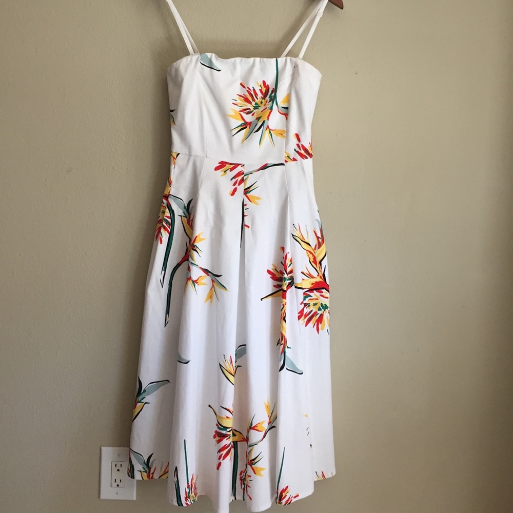 Summer Dress - Eva Mendes x New York & Company