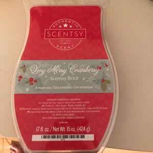 1 scentsy brick