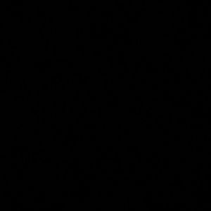 Meet your Posher, Irvin