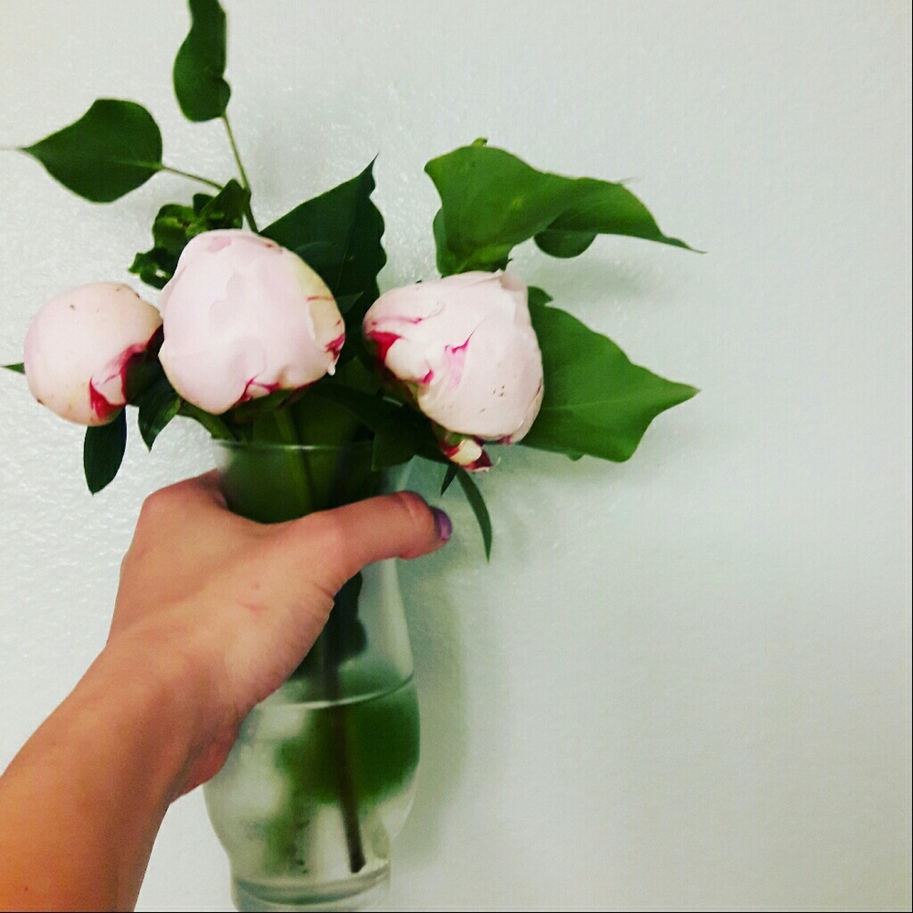 Meet your Posher, Taylor