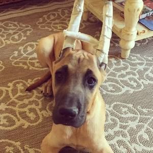 Meet your Posher, Kelli