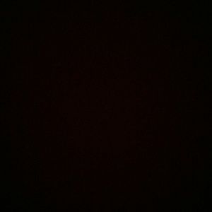 Meet your Posher, Kylen